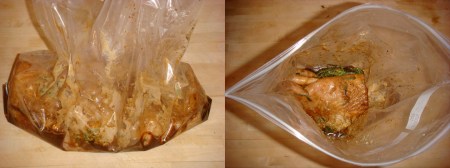 spank-my-halibut-bagged1