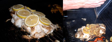 spank-my-halibut-grill-combo