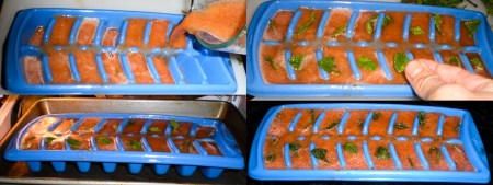 watermelon-ice-cube-tray