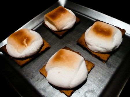 smores-served-2