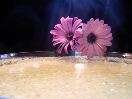 Detox so you can always get your rocks off