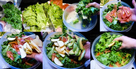 grilled-chicken-salad-toss1