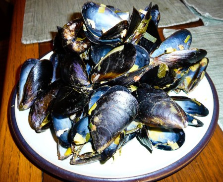 mussels-empty-shells
