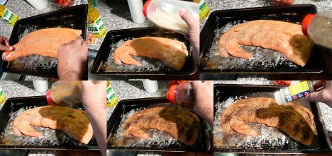 salmon and on and on season