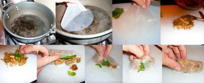 tofu springrolls roll