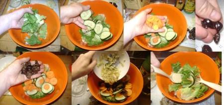 simple salmon salad toss