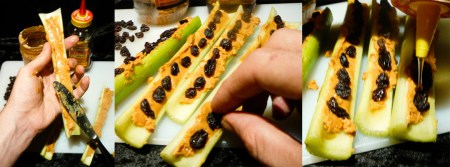 ants on my log spread