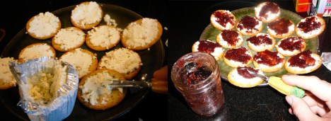 figtastic voyage spread