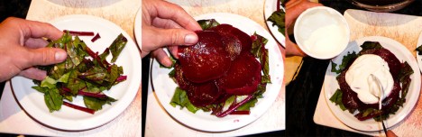 beet yo-gurt-le assemble